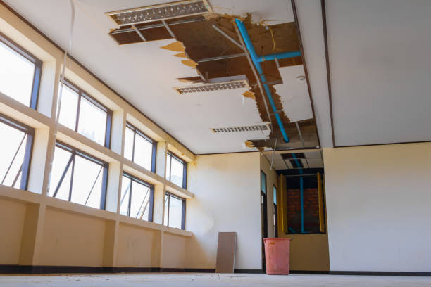 Best Sewage cleanup and water damage restoration  in Harwich Port, MA