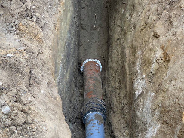 Best Basement water damage restoration  in Harwich Port, MA