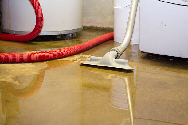 Best Residential water damage restoration  in Harwich Port, MA