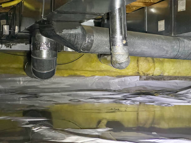 Best Professional water damage repair  in Harwich Port, MA
