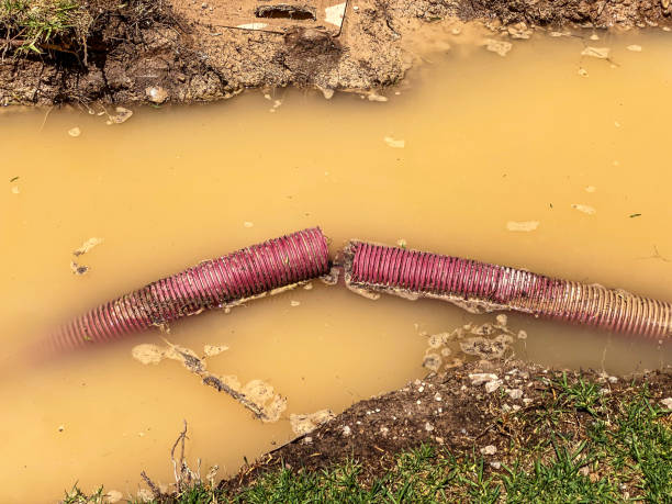 Reliable Harwich Port, MA Water damage restoration Solutions