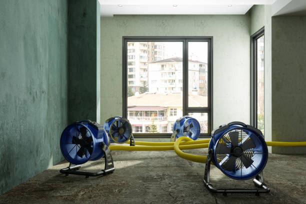 Best Ceiling water damage repair  in Harwich Port, MA