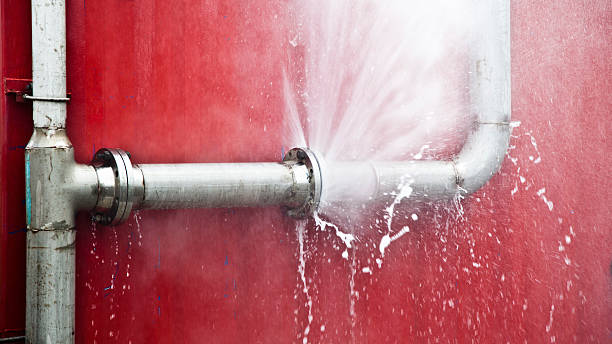 Best Flood damage cleanup  in Harwich Port, MA
