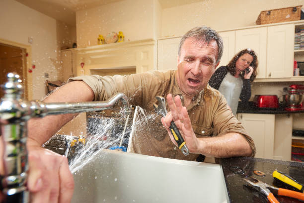 Best Basement water damage restoration  in Harwich Port, MA